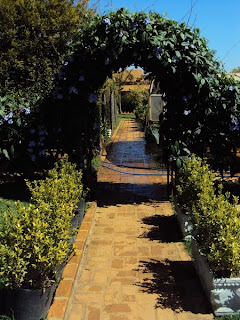 Arco