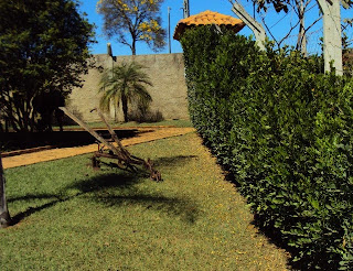 Decoração